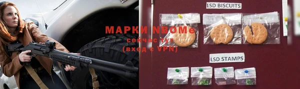 крисы Алзамай