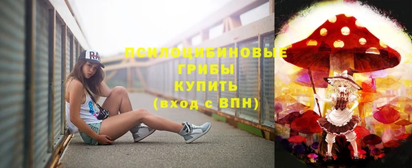 прущий лед Алексин