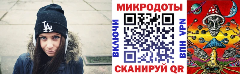 закладка  Сосенский  Галлюциногенные грибы Cubensis 
